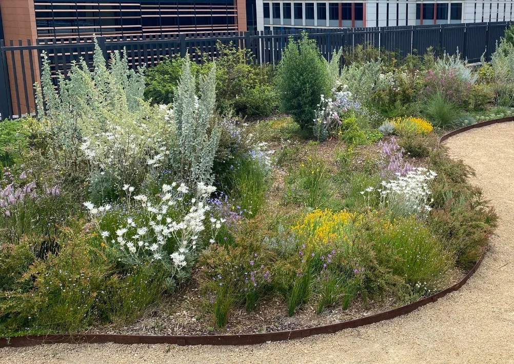 Redfern parks upgrade